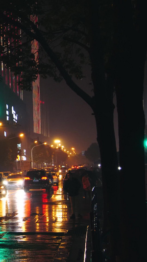雨夜红绿灯交通车流夜晚交通十字路口雨中红绿灯21秒视频