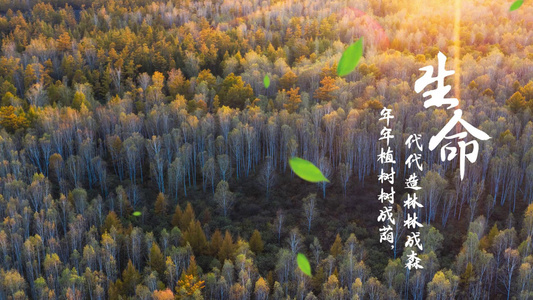 清新水墨植树节环保造林活动宣传视频