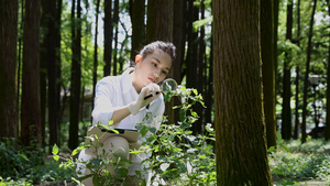 植物学者观察低矮灌木植物52秒视频