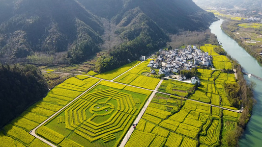 齐云山油菜花田航拍视频