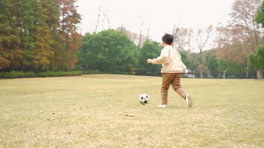 户外小男孩在草地上踢球背影升格视频视频