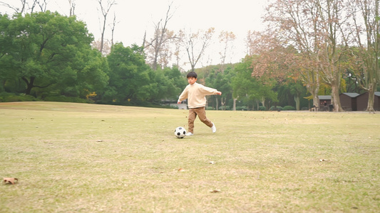 秋季小男孩在公园里踢足球升格视频视频