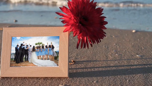 沙滩相册婚礼婚庆图片展示会声会影x10模板160秒视频