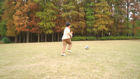 秋天户外公园小男孩踢球升格视频视频