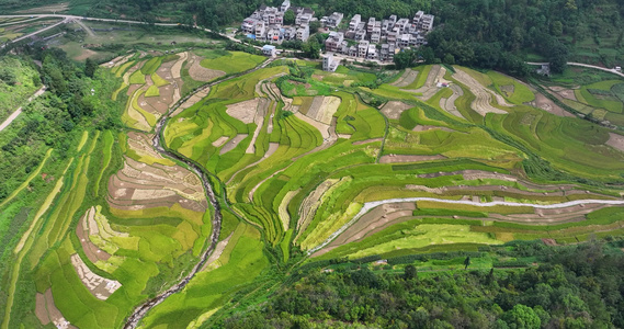 航拍广西靖西巴泽梯田自然风光视频