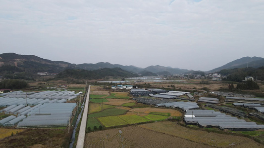 航拍农业大棚种植基地视频