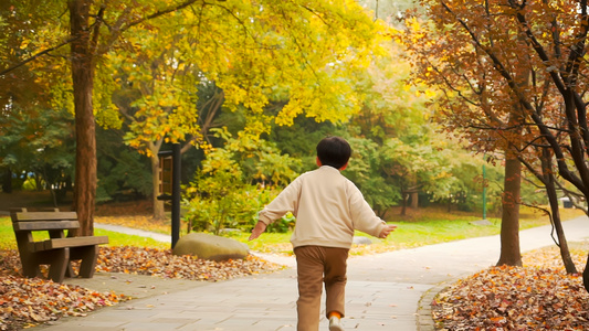 秋天公园步行道上奔跑的小男孩背影升格视频视频