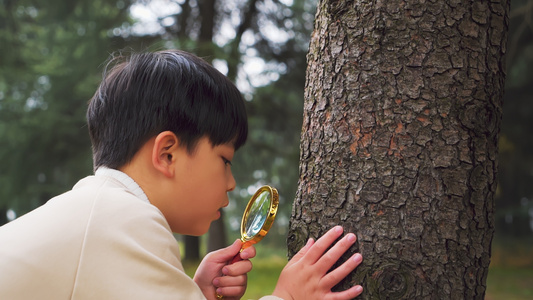 秋天公园里拿放大镜观察植物的小男孩视频