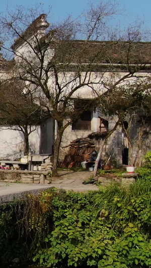 航拍5A级景点安徽查济古村落视频安徽旅游88秒视频