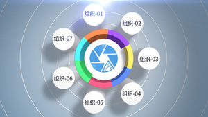 干净整洁组织结构分类展示50秒视频