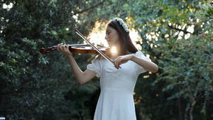 女生夕阳下的小提琴演奏21秒视频