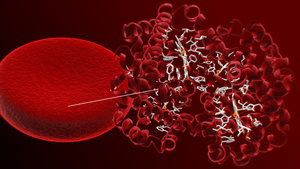 3D人体医疗血红蛋白分子15秒视频