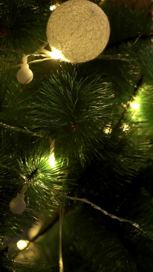 圣诞树12月25日17秒视频