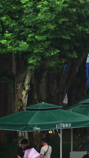 城市下雨天街道集市逛街街景素材城市素材60秒视频