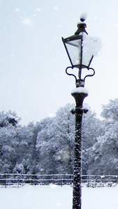 冬季雪景视频素材浪漫雪景视频