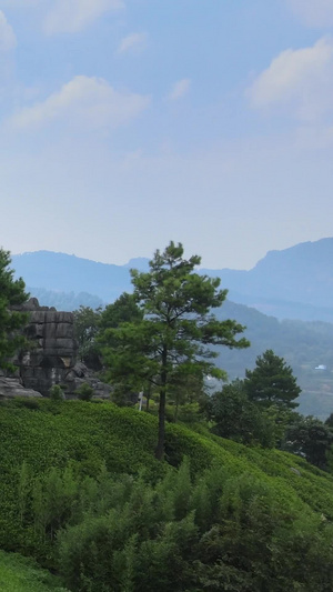  5a景区万盛石林龙鳞石海香炉峰重庆5a景区58秒视频