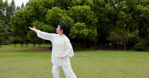 老年人在公园打太极54秒视频