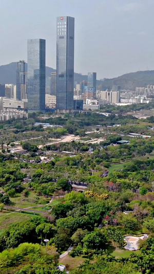 航拍深圳中心公园31秒视频