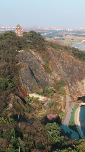 上海松江辰山植物园矿坑植物景观上海航拍52秒视频