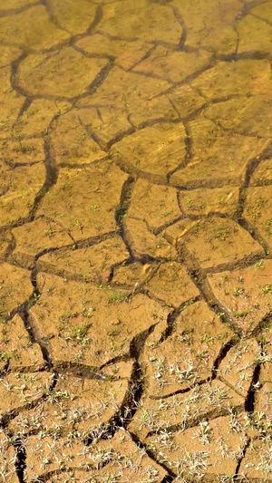 实拍灌溉干枯开裂的大地久旱逢甘霖25秒视频