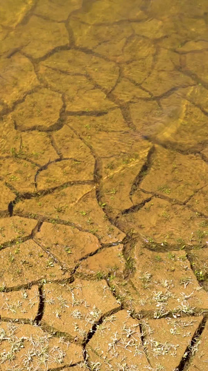 实拍灌溉干枯开裂的大地久旱逢甘霖25秒视频