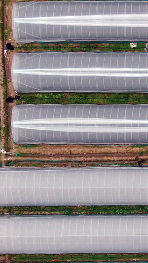 多角度航拍乡村农业大棚现代农业64秒视频