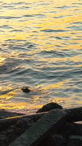 泰国大海海滨夕阳海钓实拍视频