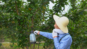 果农喷洒农药13秒视频