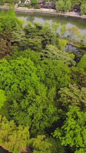 航拍湖中小亭旅游景点新中式园林53秒视频