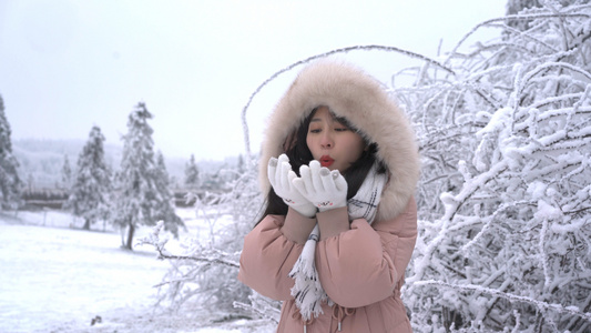 4K美女吹雪花视频