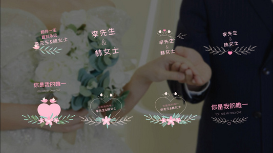 可爱小清新婚礼文字展示AE模板视频