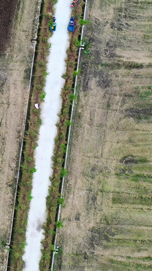 航拍俯拍收割机收割粮食世界粮食日46秒视频
