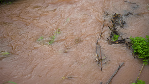 4k暴雨洪水洪灾自然灾害25秒视频