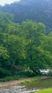 喀斯特地貌溪流自然景观视频