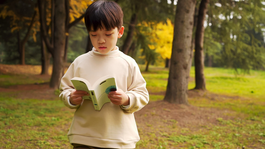小男孩在秋季公园看书升格视频视频