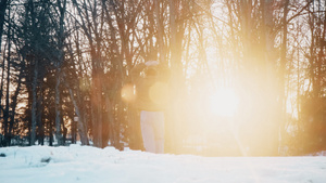 冬天夕阳下大雪覆盖的森林景观雪景15秒视频