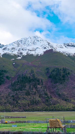 延时鲁朗雪山农场蓝天白云鲁朗小镇11秒视频