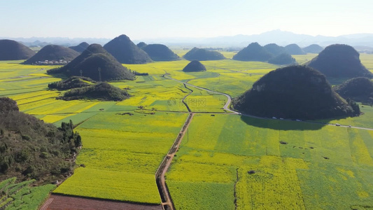 4k航拍云南罗平金鸡峰丛油菜花风景视频