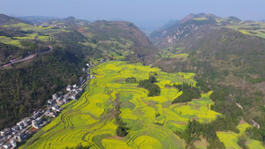 4k航拍罗平牛街螺丝田油菜花风景13秒视频