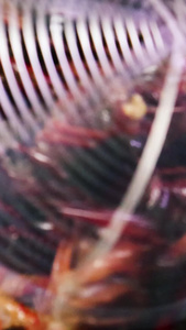 油炸小龙虾实拍视频素材美食文化视频