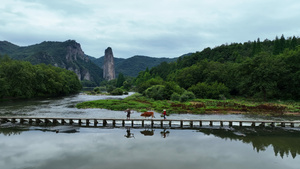 航拍浙江丽水旅游5A级缙云仙都景区牵牛过石桥的农户4k素材57秒视频