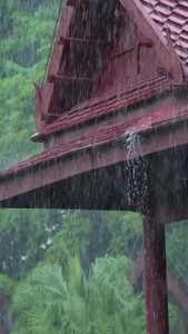 下雨天视频