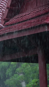 下雨天视频