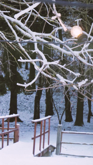 冬季一群好友相约滑雪场滑雪 冬季运动10秒视频