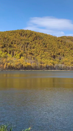 内蒙古阿尔山景区乌苏浪子湖实拍视频大兴安岭31秒视频