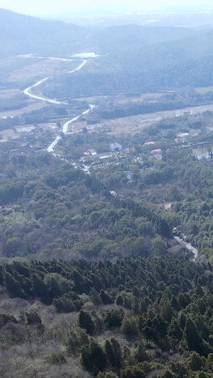 航拍龙泉山灵泉寺旅游风光视频素材九瓣金莲61秒视频