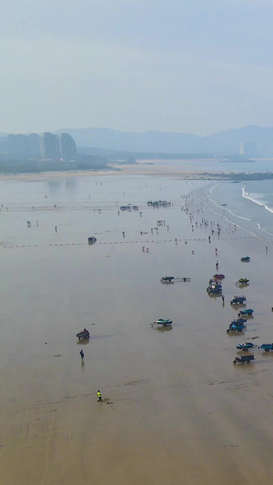 航拍海岸线海浪拍打沙滩龙王头沙滩42秒视频