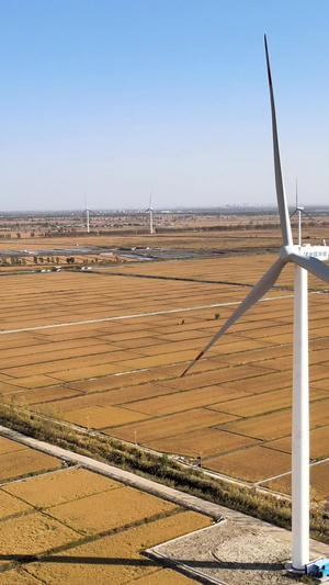风力发电风车电力国家电网水稻田地盘锦市40秒视频