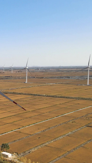 风力发电风车电力国家电网水稻田地新能源40秒视频