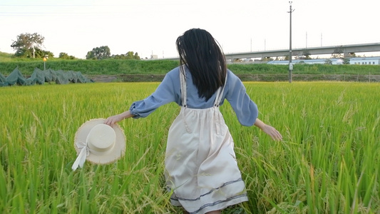 1080升格夏日稻田里奔跑的少女视频